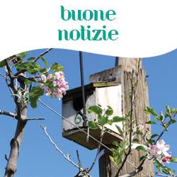 buone-notizie