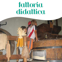 didattica