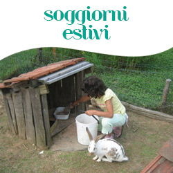 soggiorni-estivi